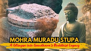 Mohra Muradu Stupa – A Glimpse into Gandhara’s Buddhist Legacy [upl. by Ymmij272]