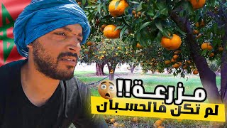 VLOG77  ليلة في مزرعة البرتقال مهجورة بسبب الجفاف [upl. by Terryl214]