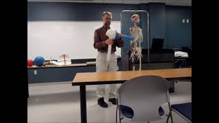 Arthrokinematics primer 29 minutes [upl. by Leah]