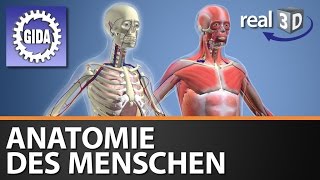 Trailer  Anatomie des Menschen  Biologie  3D Software [upl. by Otnicaj531]