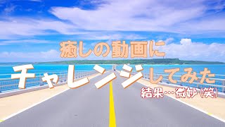 やってみなきゃわからない！癒し動画を作ってみたら…メチャ微妙笑 眠りの寺院vol10 癒しの音楽 [upl. by Aivital]