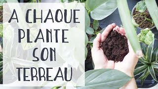 🌿 Quel terreau pour quelles plantes dintérieur [upl. by Bolan]