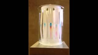 Chromatography Time Lapse [upl. by Aterg988]