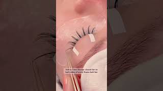 Fairy Wispy Lash Extensions Style [upl. by Brodie]