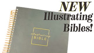 NEW BIBLE DaySpring NIV Illustrating Bible [upl. by Barina600]