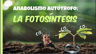 Anabolismo autótrofo LA FOTOSÍNTESIS  2º de Bachiller BioESOsfera [upl. by Daryl]