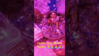 Laddu sona Radhe Radhe 🙏🙏🙏🙏shortvideo song [upl. by Hillel138]