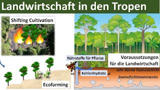 Landwirtschaft in den Tropen Zusammenfassung  Erdkunde Oberstufe Abitur [upl. by Stanwin515]