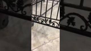 Wrought iron railing [upl. by Kowatch]