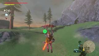 Zelda Breath of the Wild  Lynel Location 5 Zoras Domain  Ploymus Mountain [upl. by Yrrat169]