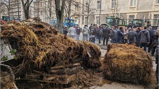 Fed up French farmers spray manure on government buildings in protest [upl. by Eartnoed]