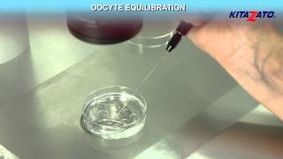 Kitazato Cryotop® Oocyte Vitrification  Open System [upl. by Dunham]