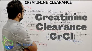 Creatinine Clearance CrCl Calculations With Examples [upl. by Ayadahs]