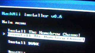 How to Install the Homebrew Channel DVDx and BootMii Part 2 [upl. by Aitan400]