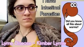 My Intestinal PARASITES Infestation WORSE than previoisly thoughtLyme disease Daily [upl. by Tybie]