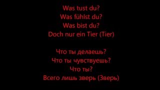 Tier  Rammstein HD Lyrics Текст песни и перевод [upl. by Iem]