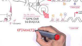 Epigenetics  An Introduction [upl. by Manoop461]