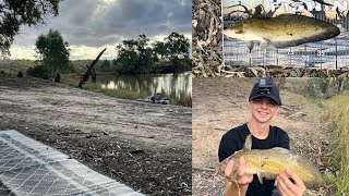 3day Camp with 5 different species Wimmera River Fishing [upl. by Adikram458]