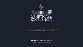 Guardamonte 84 Viamonte TE [upl. by Esinyl]