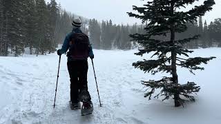 Winter Hikes to Loch amp Mills Lake in Rocky Mountain Park [upl. by Alina781]