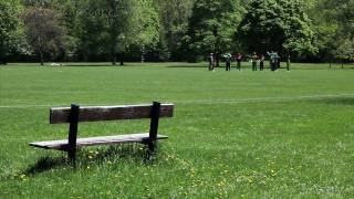 Ep 41  Sunnybrook Park  Cricket Fields [upl. by Erminia]