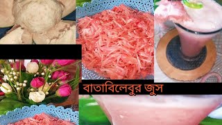 pomelo juice♥️🍹♥️বাতাবিলেবুর জুস গরমে ছোট বড়ো সবার জন্য [upl. by Trakas]