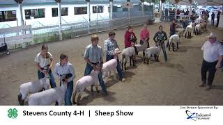 2024 Sheep Show  Stevens County 4H [upl. by Gamages349]