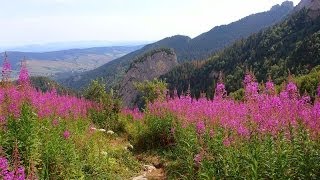 TATRY SŁOWACKIE  Czerwonym szlakiem na [upl. by Odnanref]