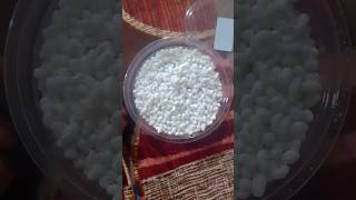 🤤🤤🤤sompsomprestaurant shortvideofood foodevlogs333tamilsong musiclovesongtamilsong [upl. by Iphagenia685]