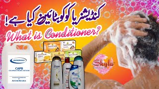 What is Conditioner or Coco Betaine  Cocamidopropyl [upl. by Atinahc327]