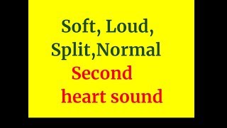 S2 Soft loud amp splittingSecond heart sound [upl. by Etnovaj530]