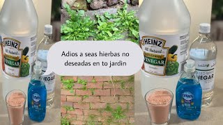 Herbicida casero con sólo 3 ingredientes sin químicos dañinos [upl. by Mcloughlin]