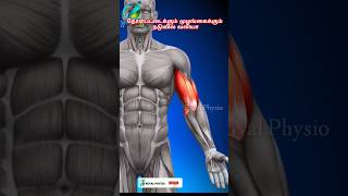 biceps pain relief exercises  bicep injury recovery exercises  sore upper arm muscles treatment [upl. by Naujahs]