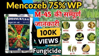 M45 Mencozeb 75WP Content Fungicide  Indofil M45Dhanuka M45 मेनकोज़ेब की सम्पूर्ण जानकारी M45 [upl. by Ahsikit]