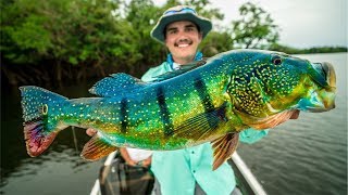 Catching GIANT Peacock Bass in the Amazon NEW PB [upl. by Lobel223]