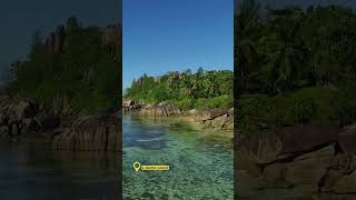 Lîle de lIslette Seychelles shorts [upl. by Ulphia284]