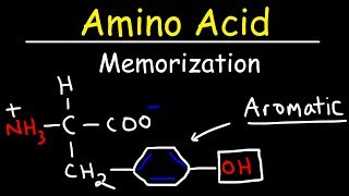 Memorize The 20 Amino Acids  The Easy Way [upl. by Gerrard]