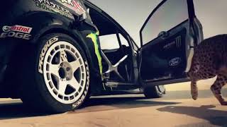 Ya lilli  remix  arabic song  dubai car stunt [upl. by Tynan418]