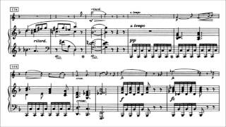 Edvard Grieg  Violin Sonata No 1 Op 8 With score [upl. by Laucsap]