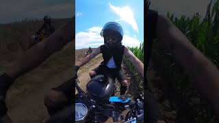 À deux doigts de finir en popcorn 😂 moto bike bikelife motovlog harleydavidson [upl. by Eustacia262]