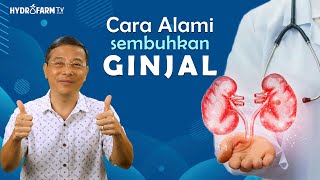 Cara Alami Sembuhkan GINJAL [upl. by Wong]