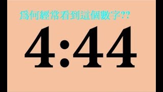 你常看到「444」或擁有這數字嗎？恭喜你！這組數字暗藏重大信息 [upl. by Ennoryt]