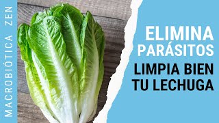 Cómo DESPARASITARTE y LAVAR una LECHUGA 🥬 [upl. by Ailla]