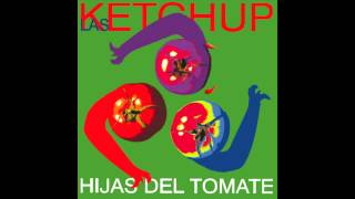 Las Ketchup  The Ketchup Song Asereje Hippy Version [upl. by Ocihc]