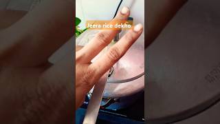 Resturant jaisa jeera rice  gudiya ka content recipe song coversong  trending song  home food [upl. by Anitsirhcairam320]