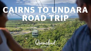 Mustdo road trip from Cairns to Undara [upl. by Shandee]