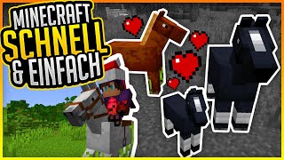 Pferde finden zähmen amp züchten Tutorial ✨ Minecraft Schnell und Einfach 36 ✨ ErikOnHisPeriod [upl. by Magen]