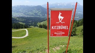 Streif Hahnenkamm Rennen  die härteste und berühmteste Abfahrt der Welt Kitzbühel  Tirol [upl. by Solegna216]