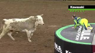 Flint Rasmussen Goes FacetoFace with a Bull [upl. by Kirad]