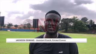 Cricket Cranes prep for Continent Cup after ICC win [upl. by Olegnaed]